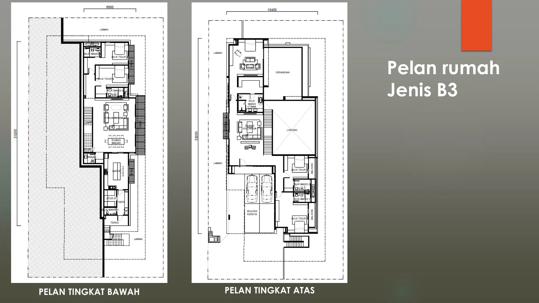 Forestree Jenis B3